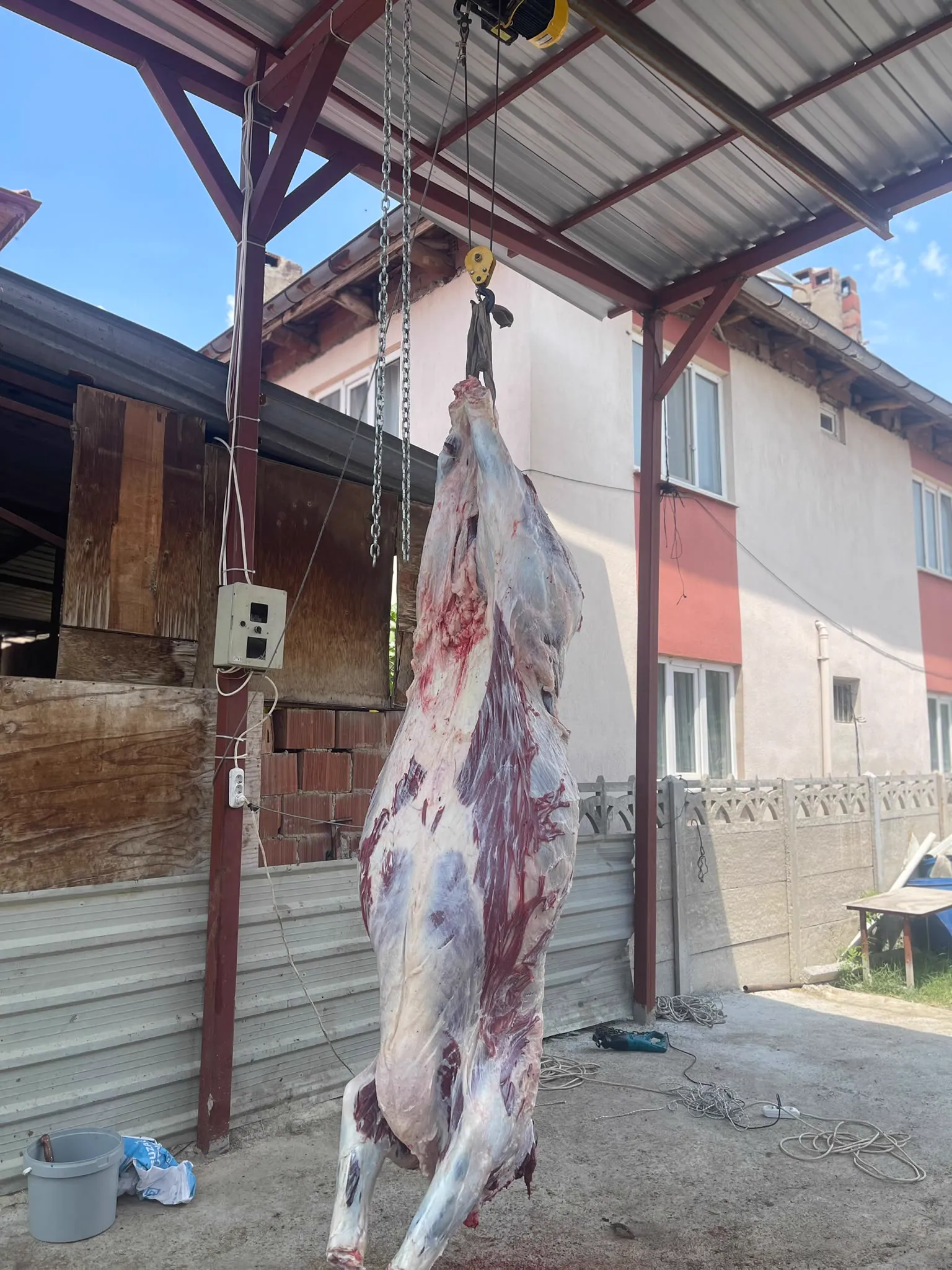 Karaçay Besicilik kesim hizmeti
